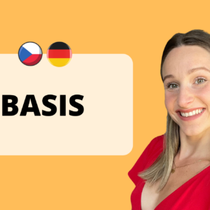 Czech subscription basis